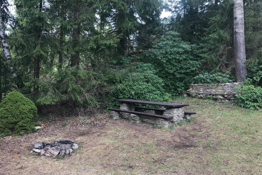 Horska Chata Na Brcalniku V Srdci Sumavy Zelezna Ruda Exterior photo